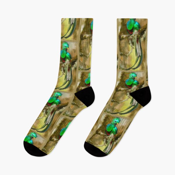 Item preview, Resplendant Quetzal designed and sold by Alvaro-Miranda.