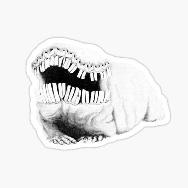 Fasciated Mole rat Sticker