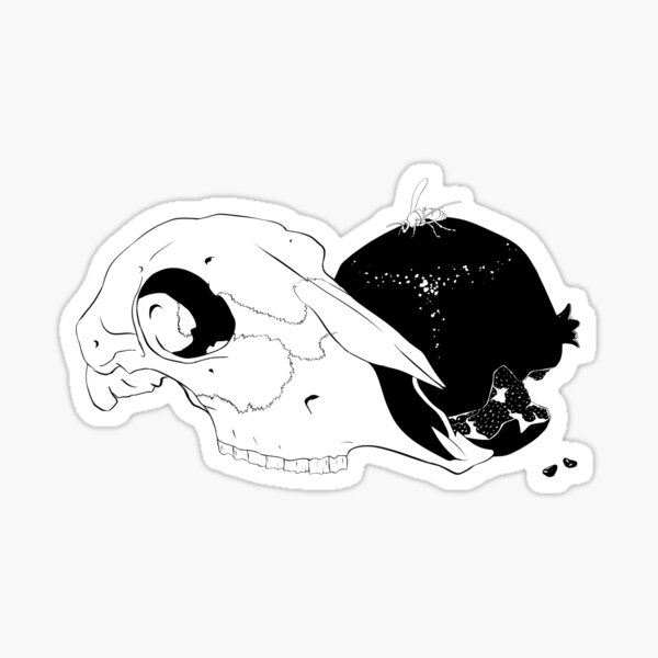 Still Life with sheep skull, pomegranate, and hornet Sticker