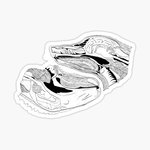 Wolf And Sheep Sticker