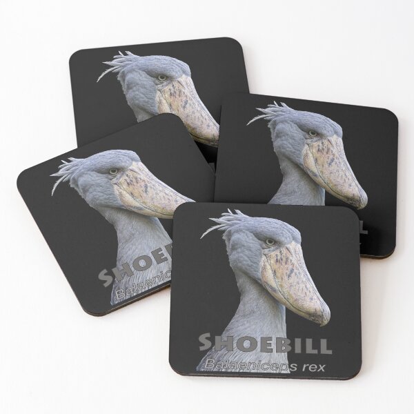 Aperçu de l'œuvre Shoebill créée et vendue par The Sleepy Monito.