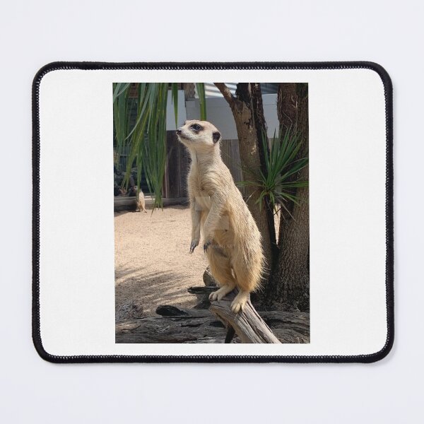 Item preview, CAPTIVE MEERKAT designed and sold by trevorp.