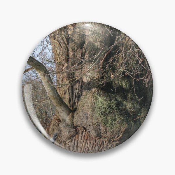 Item preview, The sweet sweet chestnut designed and sold by AnthonyThomas.