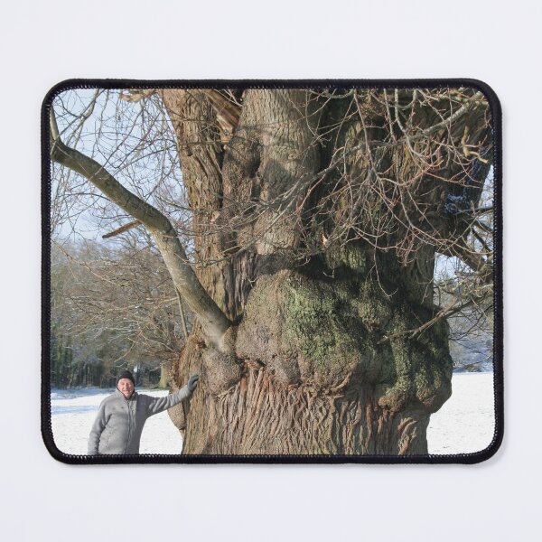 Item preview, The sweet sweet chestnut designed and sold by AnthonyThomas.