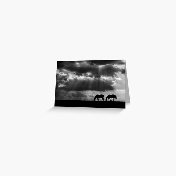 Evening Rays Greeting Card