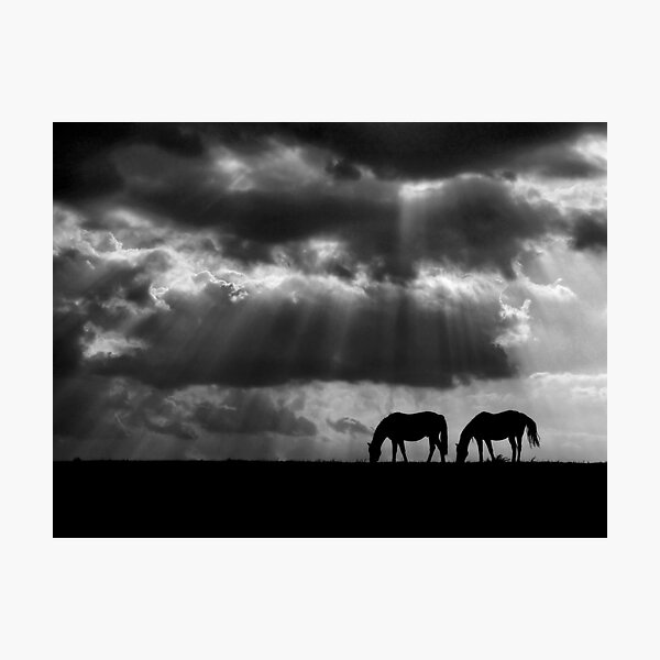 Item preview, Evening Rays designed and sold by Marylee Pope.
