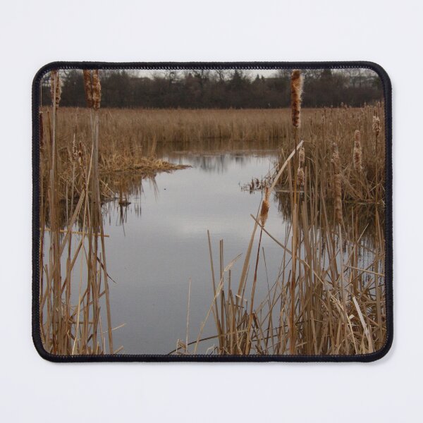 Item preview, Winter in Nippersink Forest Preserve designed and sold by Tami Bevis.