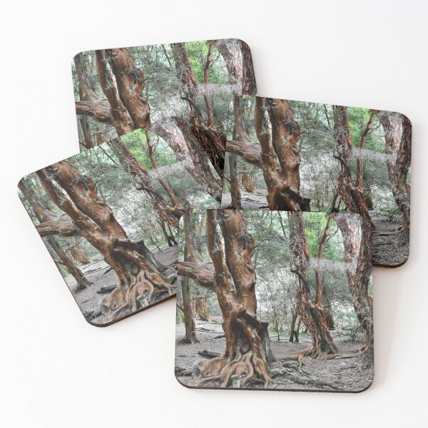 Item preview, Argentina - San Carlos de Bariloche - The Arrayanes designed and sold by franck380.