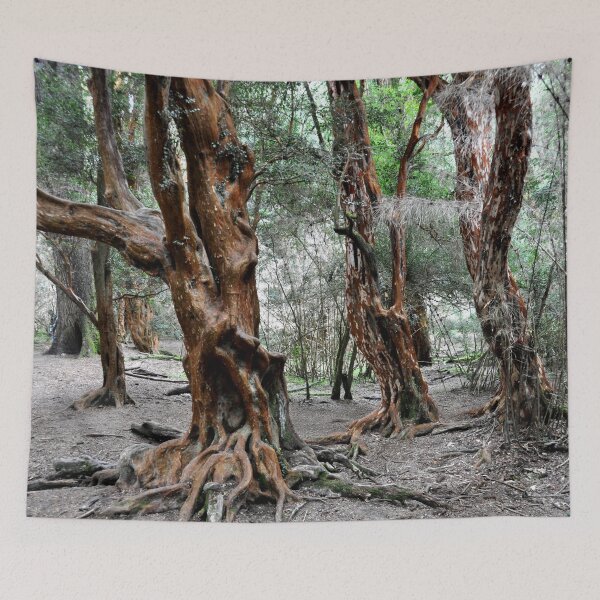 Item preview, Argentina - San Carlos de Bariloche - The Arrayanes designed and sold by franck380.