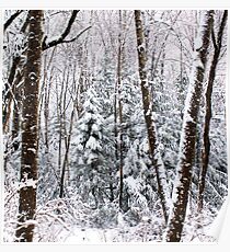 Snowy Scene Poster