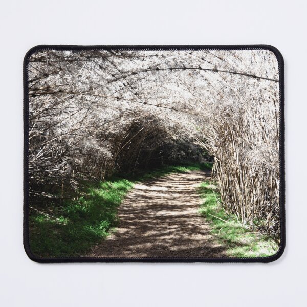 Item preview, Argentina - San Carlos de Bariloche designed and sold by franck380.