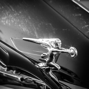 Artwork thumbnail, Chrome Ornament by littleoldhag