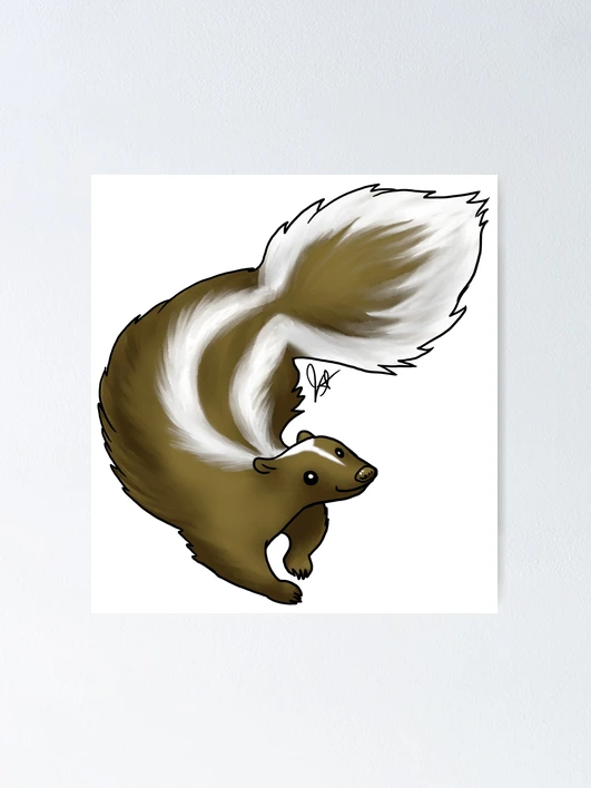 Skunk - Brown