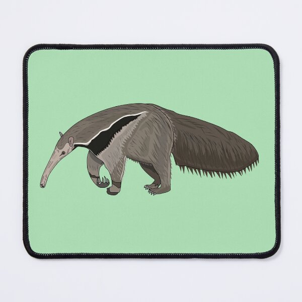 Item preview, Anteater cartoon illustration designed and sold by Misscartoon.