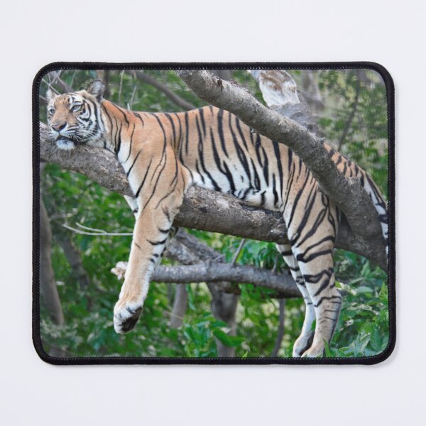 Item preview, Just Chilling designed and sold by Josette Halls.