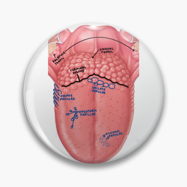 Item preview, Tongue and tonsils designed and sold by Penny Lilley.