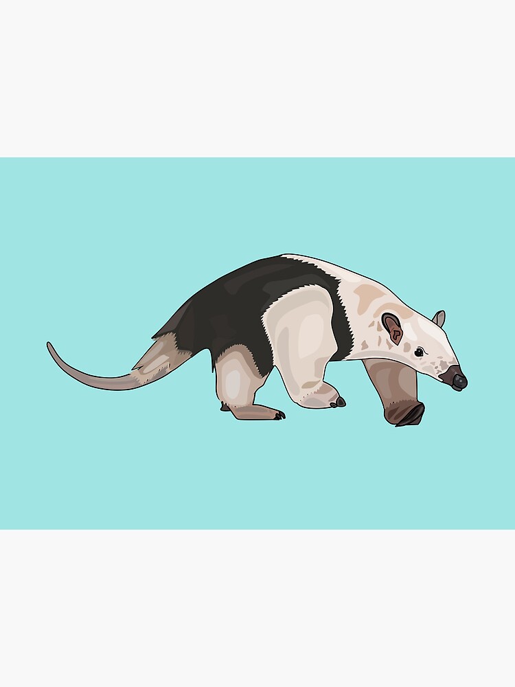 Explore the Best Tamandua Art