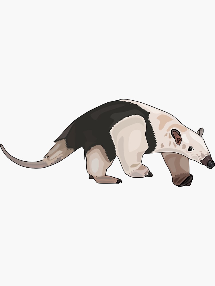 Tamandua cartoon illustration Sticker for Sale by Misscartoon