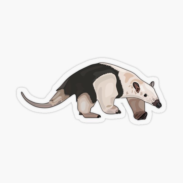 Flavvore Tamandua Pose Sticker for Sale by voreflav