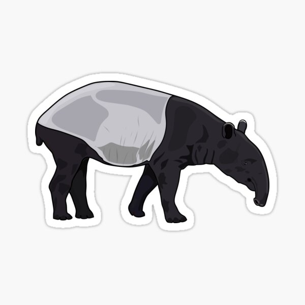 Vista previa del artículo con la obra «Ilustración de dibujos animados de tapires», diseñado y vendido por Misscartoon.