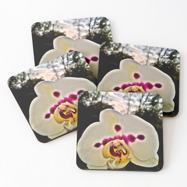 Item preview, THE ELEGANCE OF A WHITE ORCHID designed and sold by JoAnnHayden.