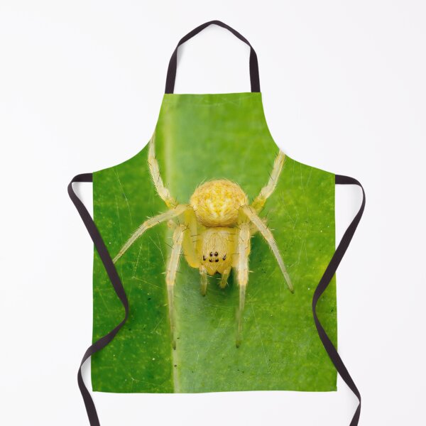 Item preview, A yellow spider, maybe an orb-weaver? designed and sold by AvonPerception.