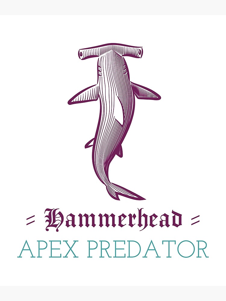 Hammerhead Apex Predator Shark” Poster for Sale by Print Horizon 