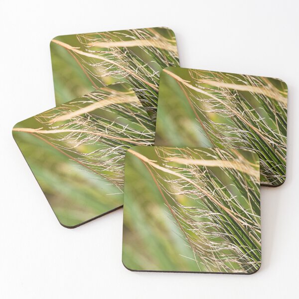 Item preview, Fan Palm Soft Fibers designed and sold by Joy Watson - Natural Light Photography .