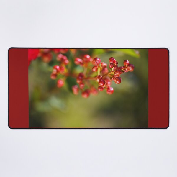 Item preview, Crepe Myrtle Buds Rich designed and sold by Joy Watson - Natural Light Photography .