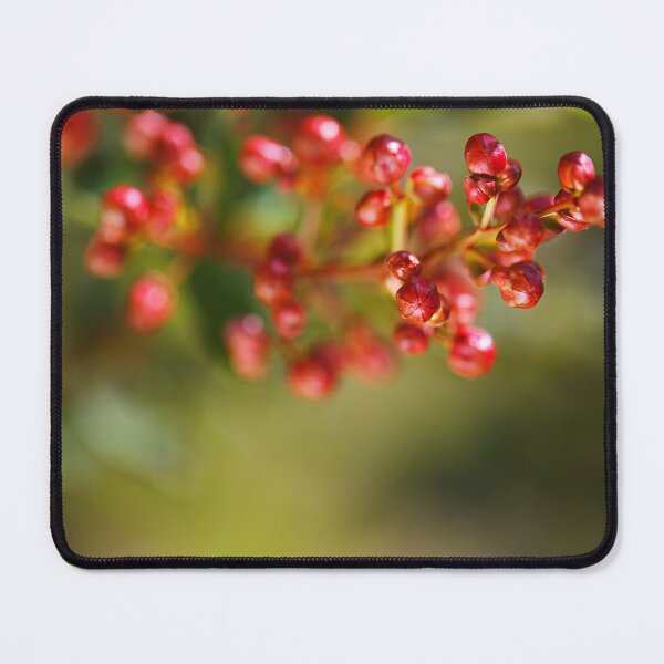 Item preview, Crepe Myrtle Buds Rich designed and sold by Joy Watson - Natural Light Photography .