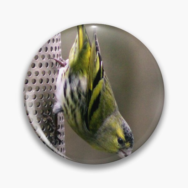 Item preview, siskin designed and sold by KathleenDawson.