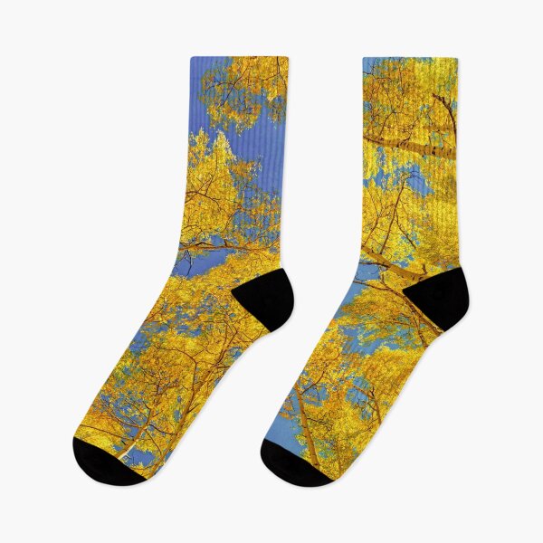 Item preview, Blue Skies Above the Aspen Grove designed and sold by Rocky Mountain Artistry.