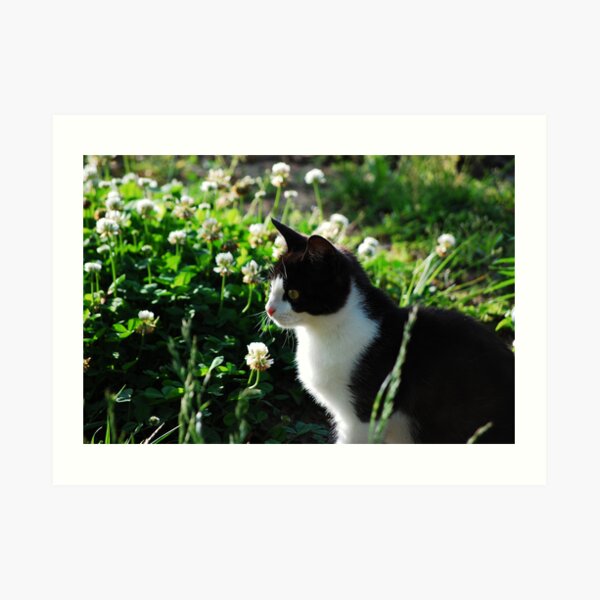 Watching Bees Art Print