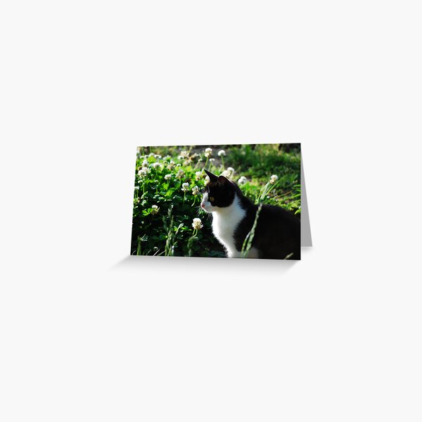 Watching Bees Greeting Card