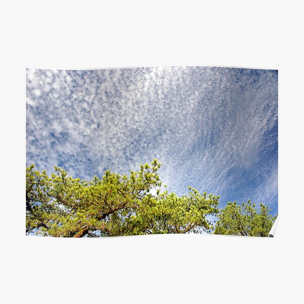 Pop Corn Sky Poster