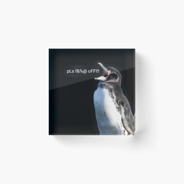 Aperçu de l'œuvre Galapagos Penguin pls f&%@ off (fond noir) créée et vendue par SBPenguins.