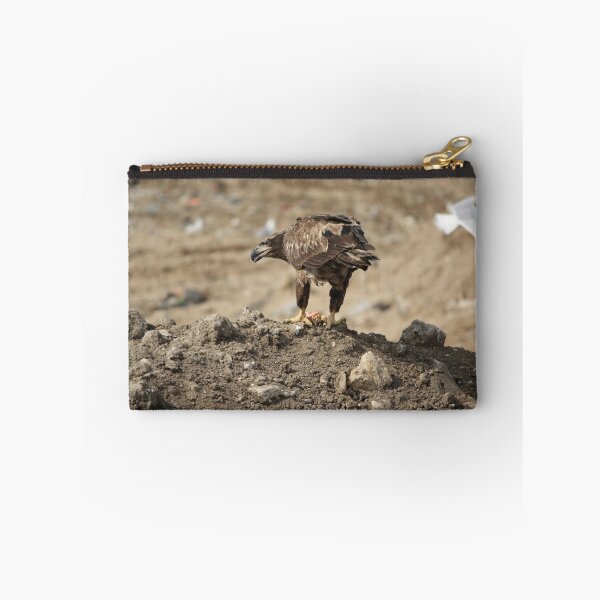Item preview, Juvenile Bald Eagle Feeding designed and sold by Howard S Taylor.