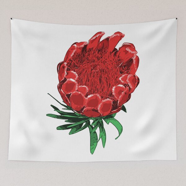 Item preview, Beautiful Protea Illustration - Lovely Australian Native Flower designed and sold by Annalee Beer.