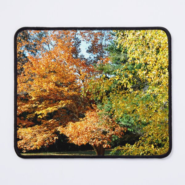 Item preview, Argentina - San Carlos de Bariloche designed and sold by franck380.