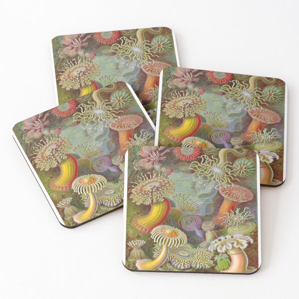 Item preview,  Haeckel Wall Art designed and sold by Sintija BILIKA.