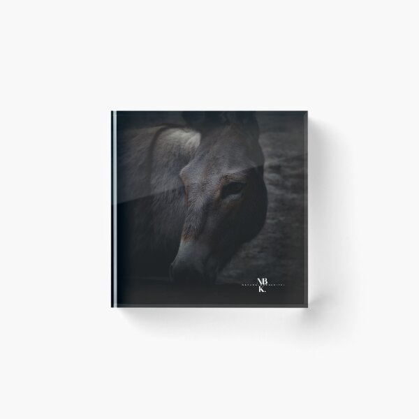 Item preview, Donkey designed and sold by NBKdesign.