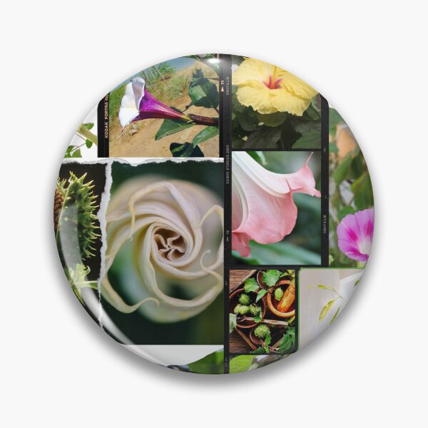 Item preview, Datura flowers, datura plant, datura flower art, datura stramonium and sacred datura, beautiful collage & nature lover gifts designed and sold by Flowerartlovers.