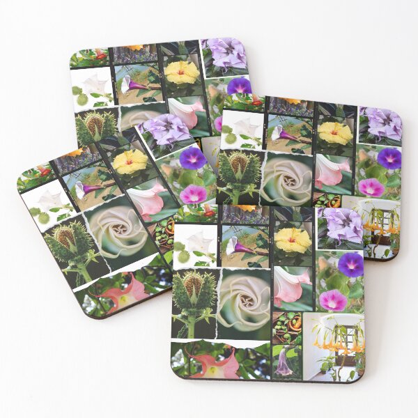 Item preview, Datura flowers, datura plant, datura flower art, datura stramonium and sacred datura, beautiful collage & nature lover gifts designed and sold by Flowerartlovers.