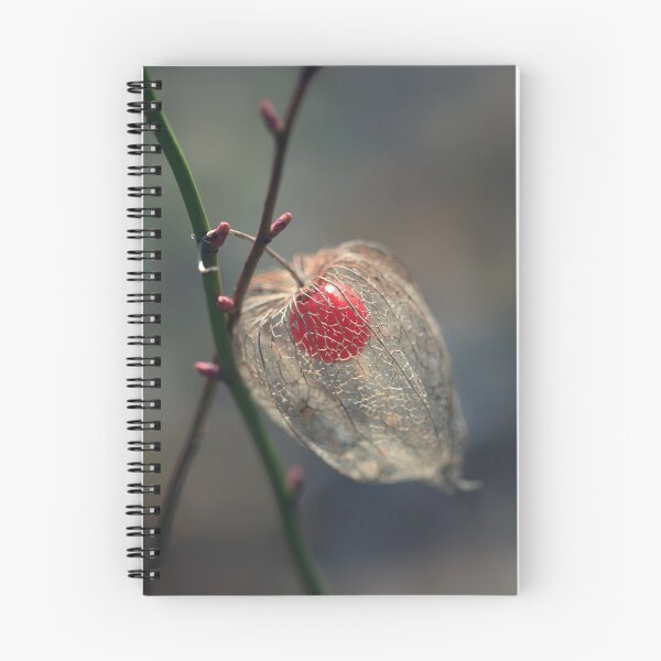 Item preview, Physalis on branch in winter garden designed and sold by olena2552.