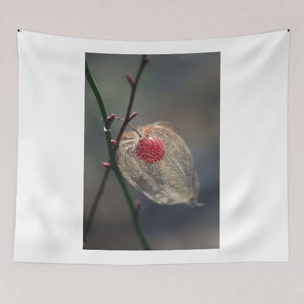 Item preview, Physalis on branch in winter garden designed and sold by olena2552.