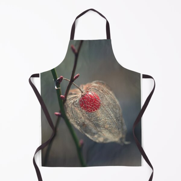 Item preview, Physalis on branch in winter garden designed and sold by olena2552.