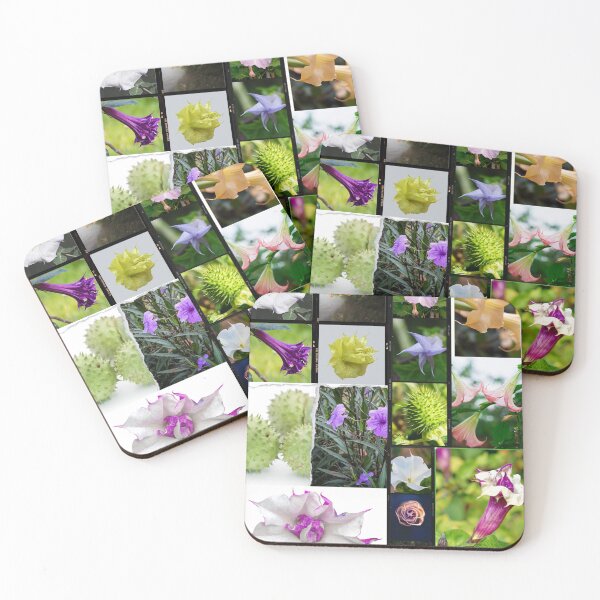 Item preview, Datura flowers, datura plant, datura flower art, datura stramonium and sacred datura, beautiful collage & nature lover gifts designed and sold by Flowerartlovers.
