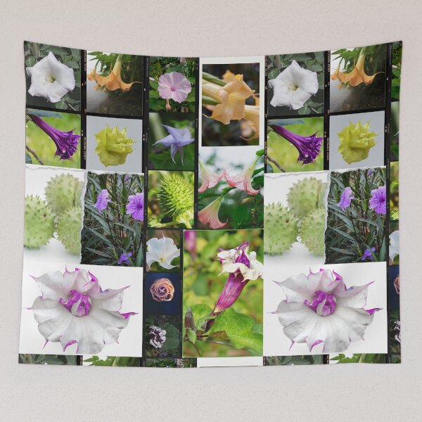 Item preview, Datura flowers, datura plant, datura flower art, datura stramonium and sacred datura, beautiful collage & nature lover gifts designed and sold by Flowerartlovers.