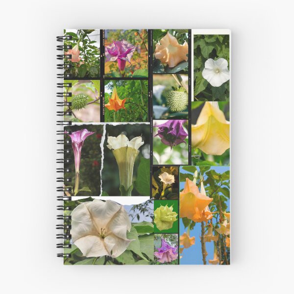 Item preview, Datura flowers, datura plant, datura flower art, datura stramonium and sacred datura, beautiful collage & nature lover gifts designed and sold by Flowerartlovers.