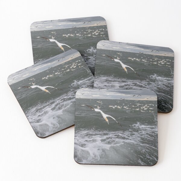 Artikelvorschau, Northern Gannet colony entworfen und verkauft von AliMarleyPhoto.